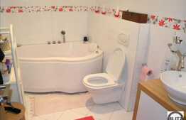 Superfinisat! 1 camera + Terasa! Mobilat!