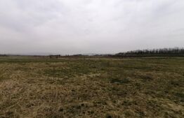 Teren intravilan 750 mp in Sopor -  Cluj Napoca, front 29m