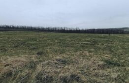 Teren intravilan 750 mp in Sopor -  Cluj Napoca, front 29m