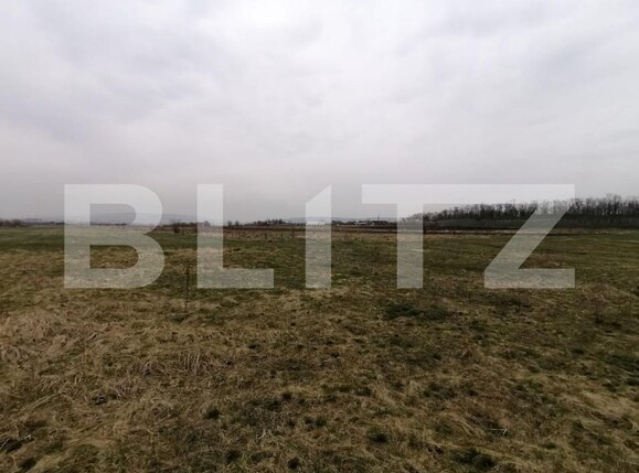 Teren de vânzare Sopor - 142801TV | BLITZ Cluj-Napoca | Poza1