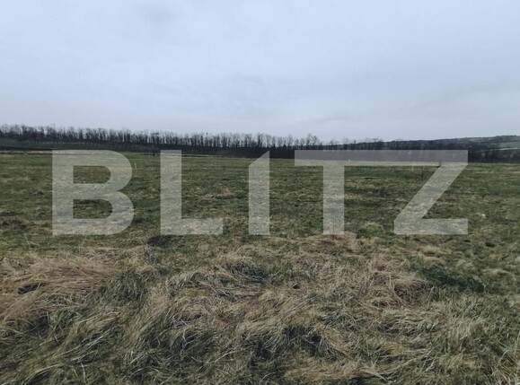 Teren de vânzare Sopor - 142801TV | BLITZ Cluj-Napoca | Poza2