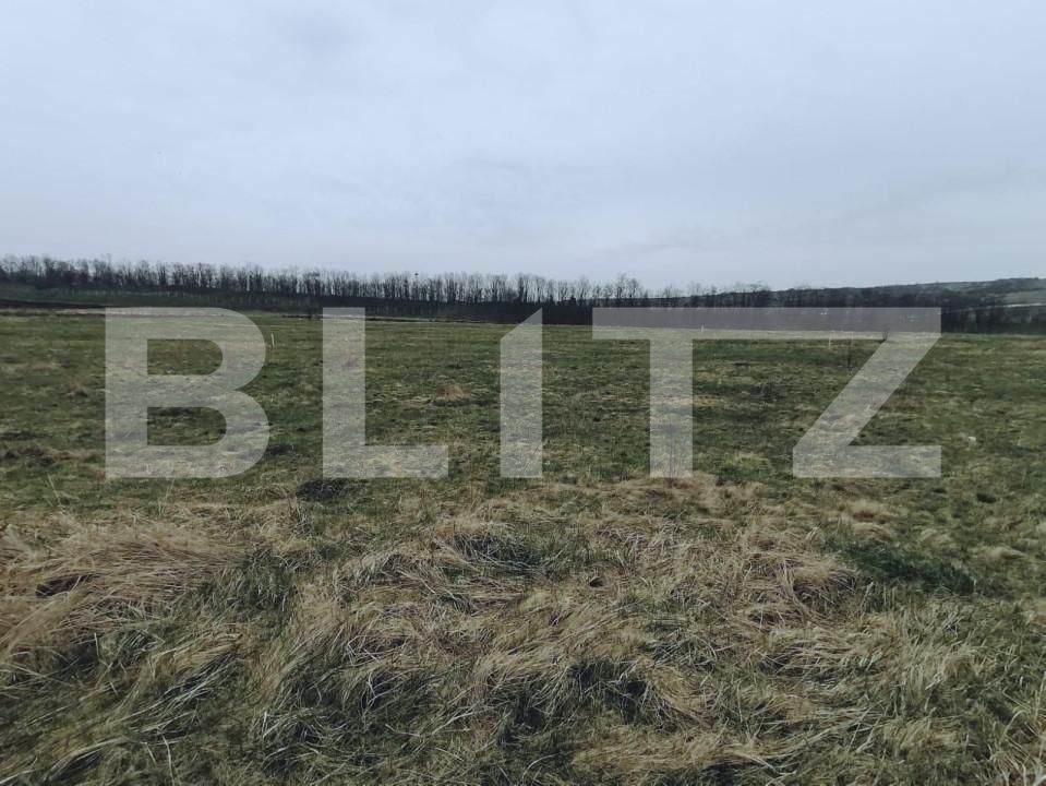 Teren de vânzare Sopor - 142801TV | BLITZ Cluj-Napoca | Poza2