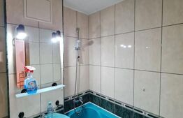 Apartament 2 camere decomandate, renovat, boxa, zona Profi