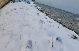 Apartament in vila, gradina 95 mp, incalzire in pardoseala, zona Terra