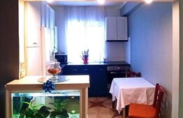 Apartament mobilat si utilat, 2 camere decomandate, 52mp, parcare, zona Florilor