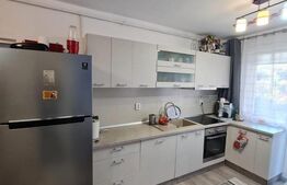 Apartament cu 3 camere, mobilat si utilat, 66mp, 2 bai, parcare, zona Teilor