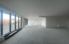 Spatiu comercial de 269 mp! Vad foarte bun ! 
