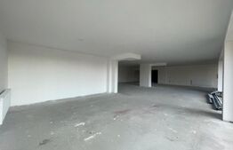 Spatiu comercial de 269 mp! Vad foarte bun ! 