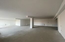 Spatiu comercial de 269 mp! Vad foarte bun ! 