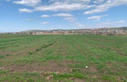 Teren 2300 mp intravilan arabil, Apahida