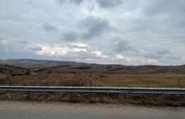 Teren intravilan de 5500 mp, front 35 ml, Salistea Noua, 12km de la Lidl