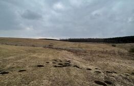 Teren intravilan de 5500 mp, front 35 ml, Salistea Noua, 12km de la Lidl