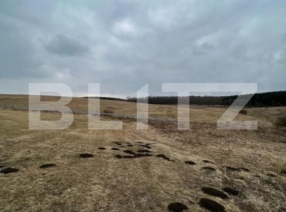 Teren de vânzare Coruşu - 142838TV | BLITZ Cluj-Napoca | Poza2