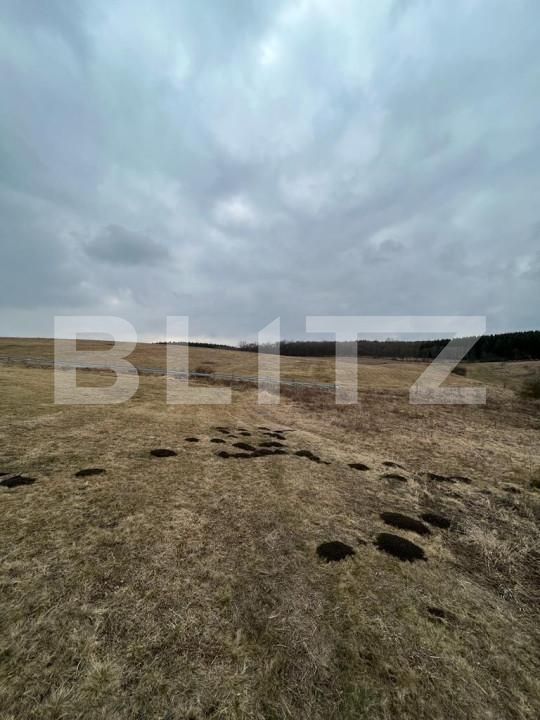 Teren de vânzare Coruşu - 142838TV | BLITZ Cluj-Napoca | Poza2