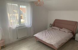 Casa deosebita, garaj, incalzire in pardoseala, acces restrictionat