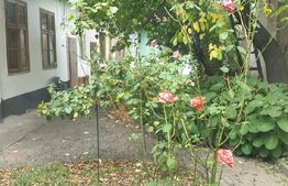 Casa de 2 camere, 55 mp utili, teren 80 mp, mobilata/utilata, zona Sora