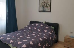 Casa de 2 camere, 55 mp utili, teren 80 mp, mobilata/utilata, zona Sora