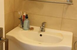 Casa de 2 camere, 55 mp utili, teren 80 mp, mobilata/utilata, zona Sora