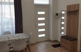 Casa de 2 camere, 55 mp utili, teren 80 mp, mobilata/utilata, zona Sora