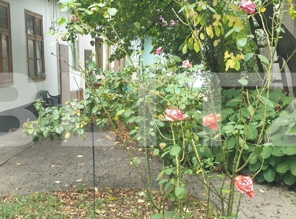 Casa de vânzare 2 camere Central - 142867CV | BLITZ Cluj-Napoca | Poza14