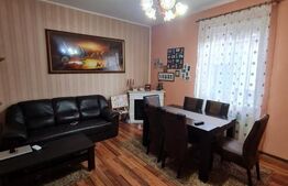 Casa individuala, piscina, pivnita, 600 mp de teren, zona Avram Iancu