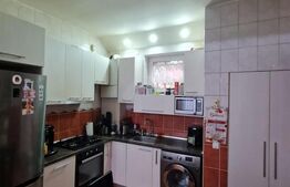 Casa individuala, piscina, pivnita, 600 mp de teren, zona Avram Iancu