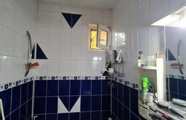 Casa individuala, piscina, pivnita, 600 mp de teren, zona Avram Iancu