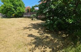 Casa individuala, 5 camere, 160mp utili, 850 mp teren, zona parcului Poligon