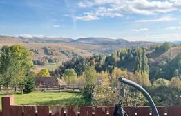 Cabana cu 4 dormitoare, foisor, ciubar, Statiunea Muntele Baisorii