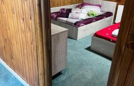 Cabana cu 4 dormitoare, foisor, ciubar, Statiunea Muntele Baisorii