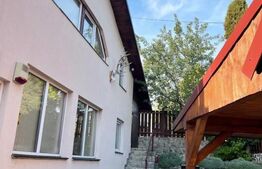 Cabana cu 4 dormitoare, foisor, ciubar, Statiunea Muntele Baisorii