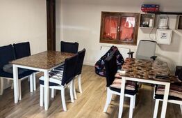 Cabana cu 4 dormitoare, foisor, ciubar, Statiunea Muntele Baisorii