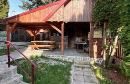 Cabana cu 4 dormitoare, foisor, ciubar, Statiunea Muntele Baisorii