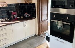 Cabana cu 4 dormitoare, foisor, ciubar, Statiunea Muntele Baisorii