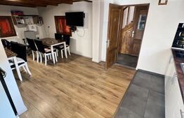 Cabana cu 4 dormitoare, foisor, ciubar, Statiunea Muntele Baisorii