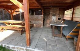 Cabana cu 4 dormitoare, foisor, ciubar, Statiunea Muntele Baisorii