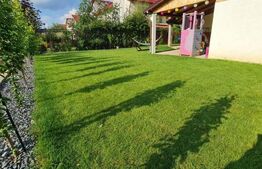 Casa tip duplex, 4 camere, terasa, pivnita, Floresti