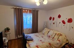 Casa 3 camere, 720 mp teren, zona Somesului