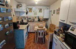 Casa 3 camere, 720 mp teren, zona Somesului