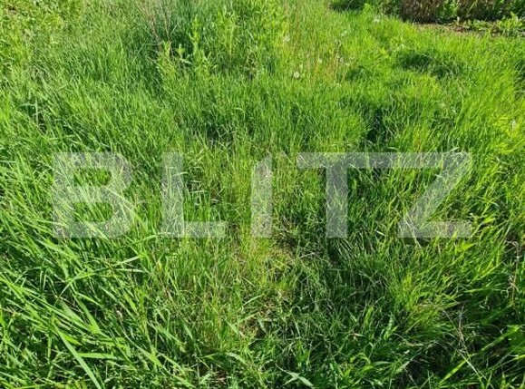 Casa de vânzare 3 camere Floreşti - 142881CV | BLITZ Cluj-Napoca | Poza7