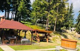 Casa de vacanta, 4 camere, 119 mp utili, 2300 mp de teren, Marisel