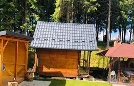 Casa de vacanta, 4 camere, 119 mp utili, 2300 mp de teren, Marisel