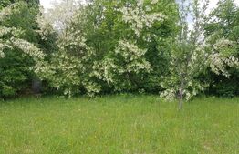 Teren intravilan de 1000 mp, priveliste superba, zona Predelut -Bran