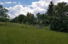 Teren intravilan de 1000 mp, priveliste superba, zona Predelut -Bran