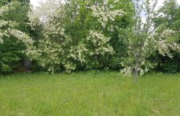 Teren intravilan de 1000 mp, priveliste superba, zona Predelut -Bran