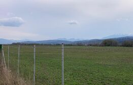 Teren intravilan Codlea