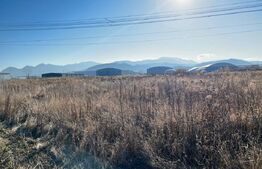 Teren industrial de 3666 mp in Brasov toate utilitatiile