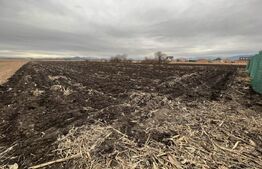 Teren in Stupini, parcelabil pentru nevoile voastre