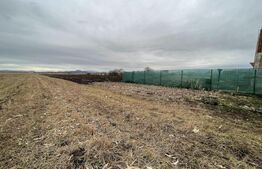 Teren in Stupini, parcelabil pentru nevoile voastre