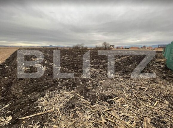 Teren de vânzare Stupini - 142958TV | BLITZ Brașov | Poza4